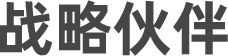 战略伙伴